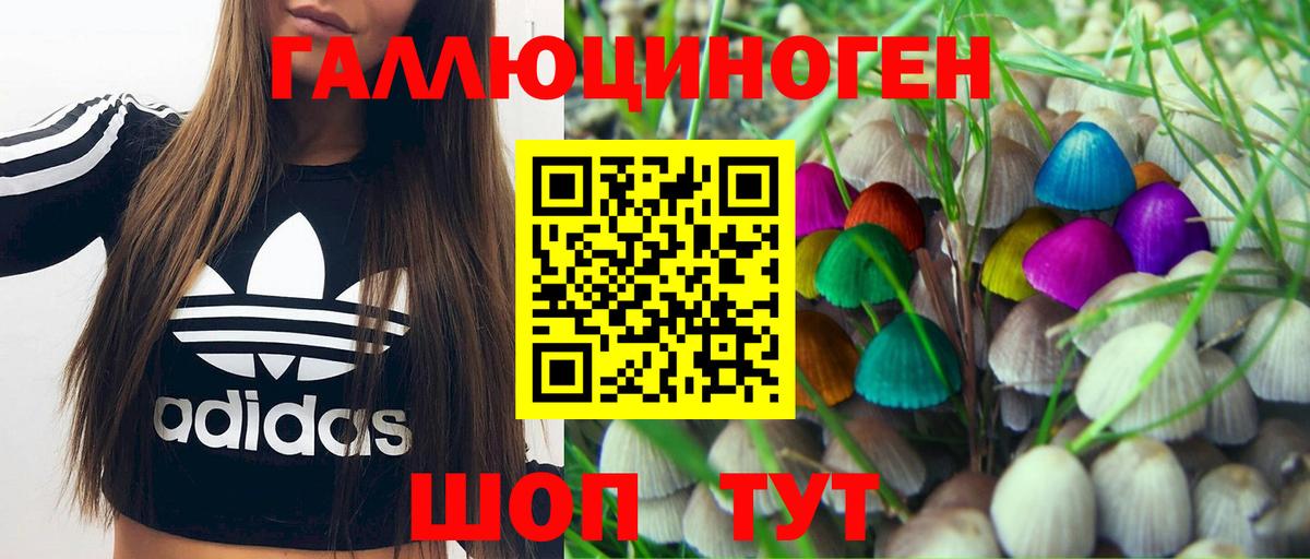 Псилоцибиновые грибы ЛСД  Вход с VPN  Курск 